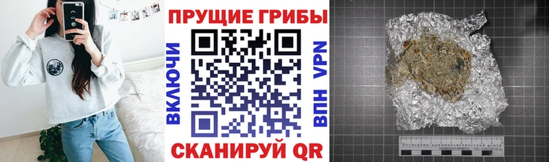 Псилоцибиновые грибы прущие грибы  omg маркетплейс  Югорск 