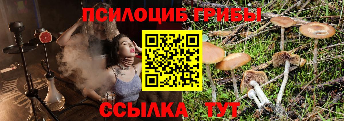 Псилоцибиновые грибы MAGIC MUSHROOMS Югорск